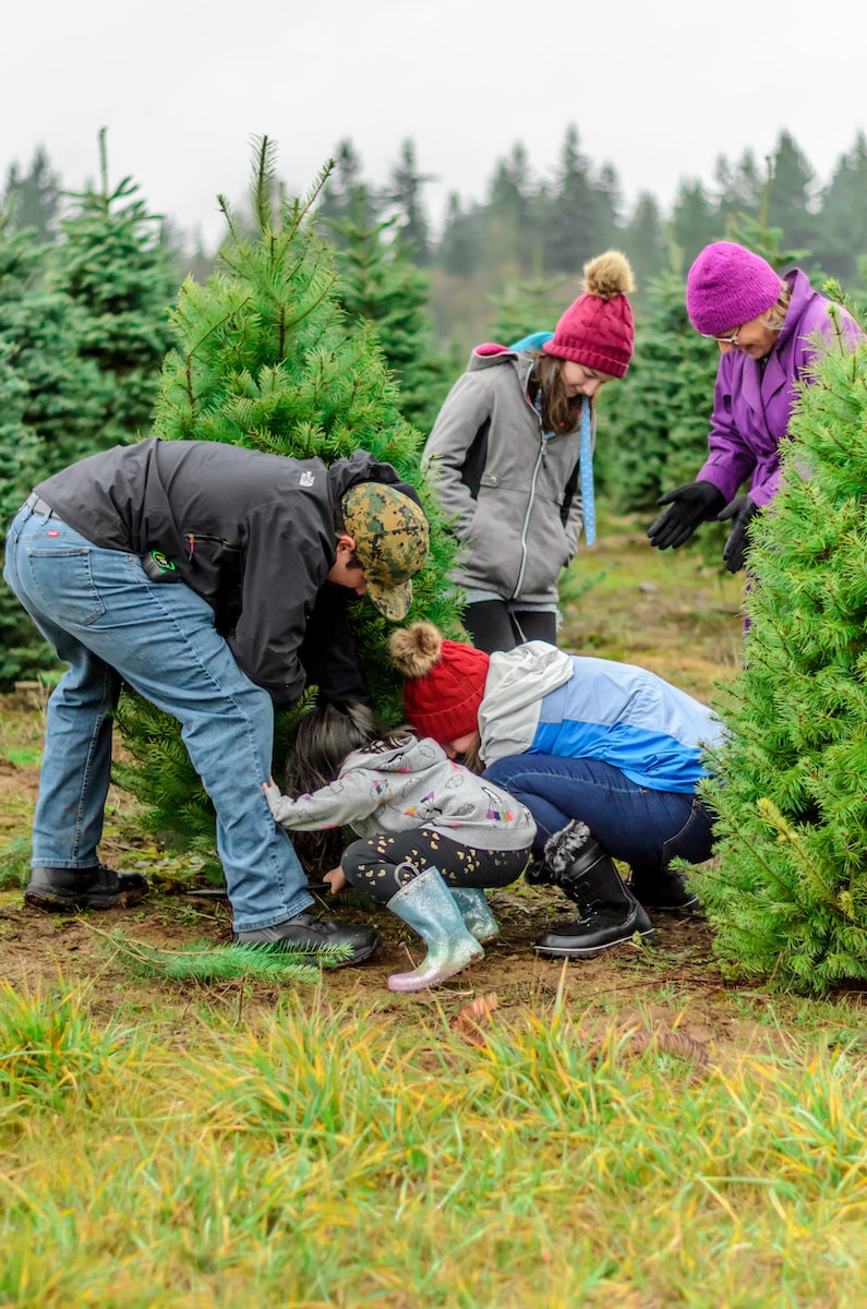 Family outdoors with trees